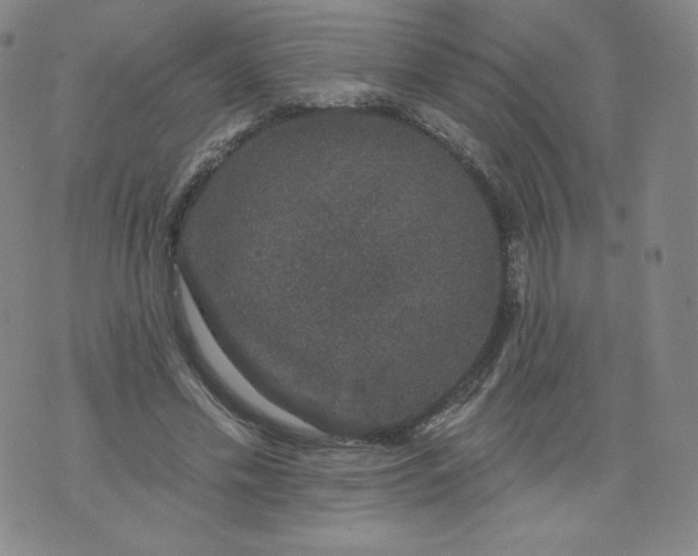 X0000074280589200609151854