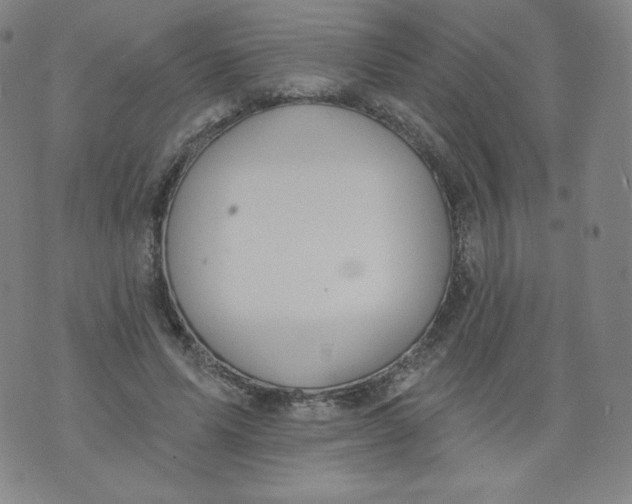 X0000074280591200609151854