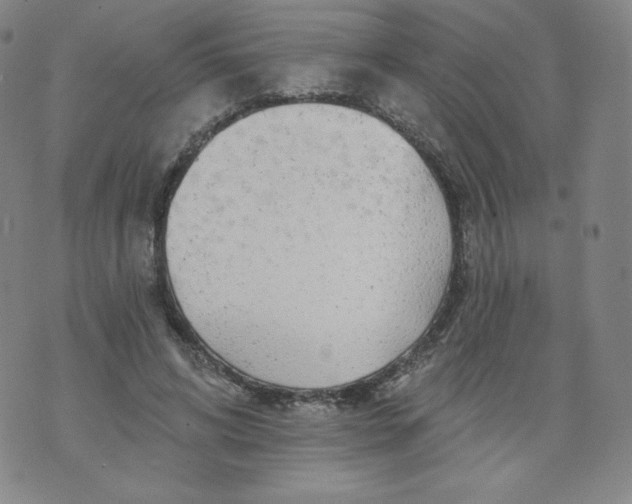 X0000074280592200609151854