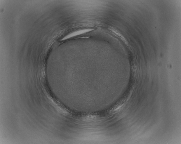 X0000074280593200609151854