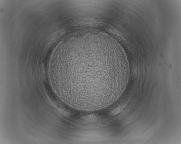 X0000074280594200609151854