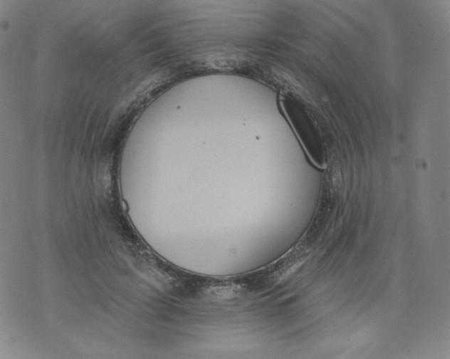 X0000074280595200609151854