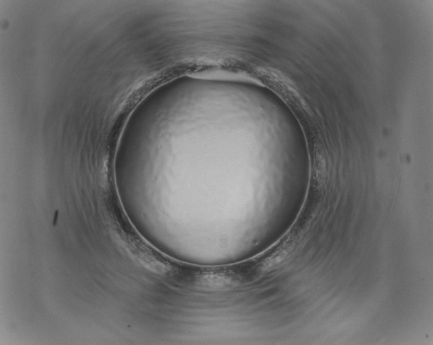 X0000074280596200609151854