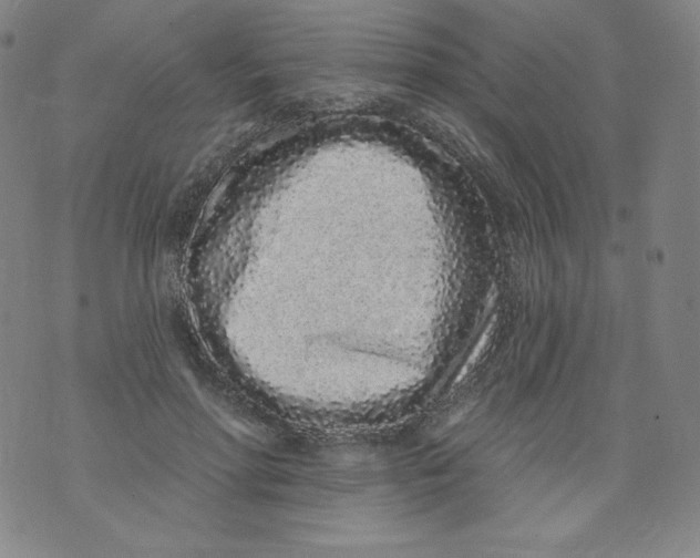 X0000074280598200609151854