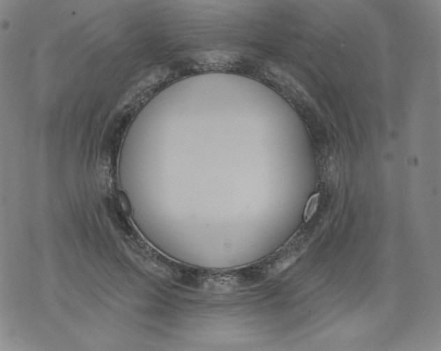 X0000074280599200609151854