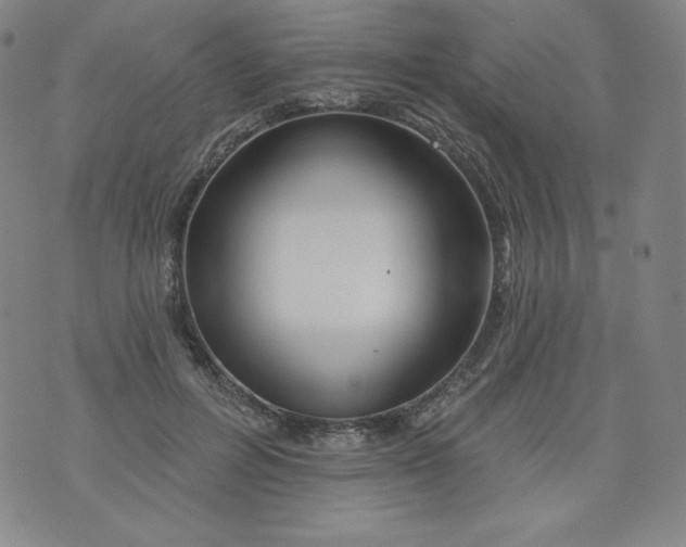 X0000074280600200609151854