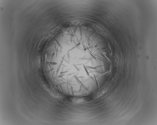 X0000074280602200609151854