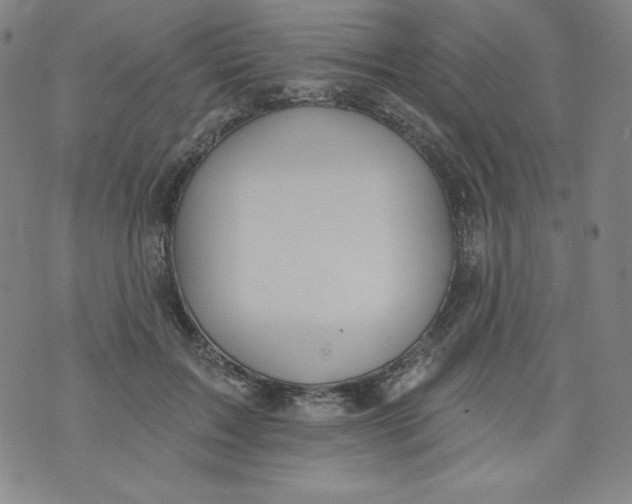 X0000074280603200609151854