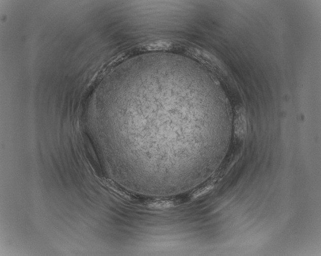 X0000074280604200609151854