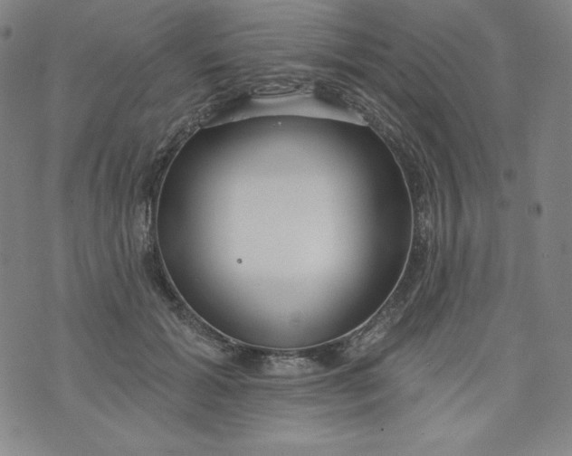 X0000074280605200609151854