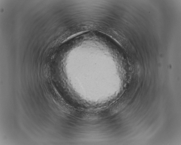 X0000074280606200609151854