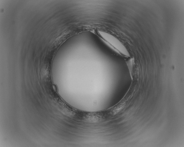 X0000074280608200609151853