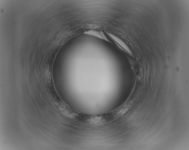 X0000074280609200609151853