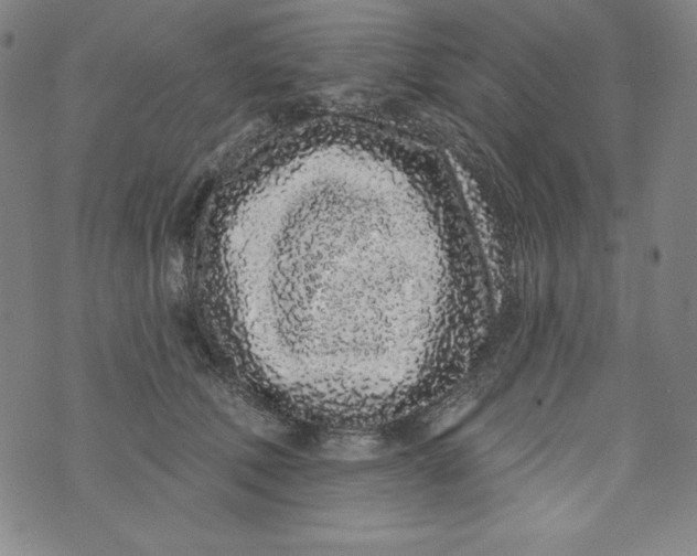 X0000074280610200609151853