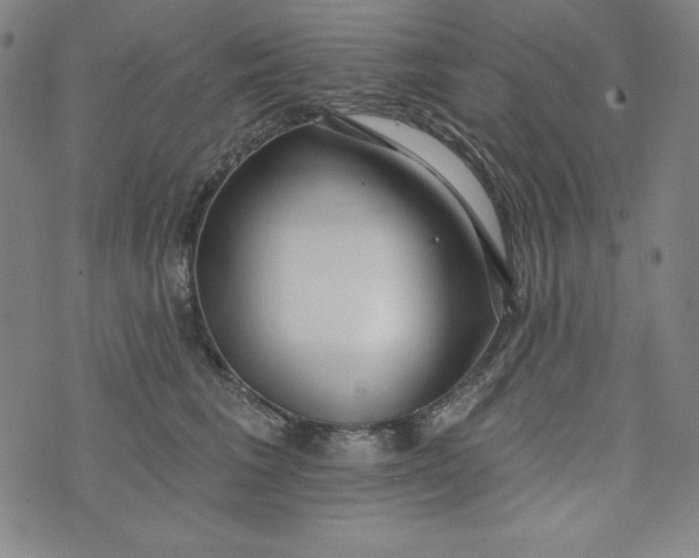 X0000074280613200609151853