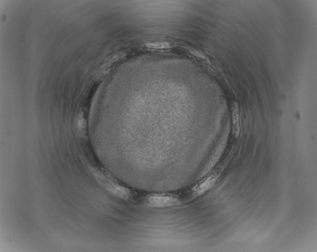 X0000074280614200609151853