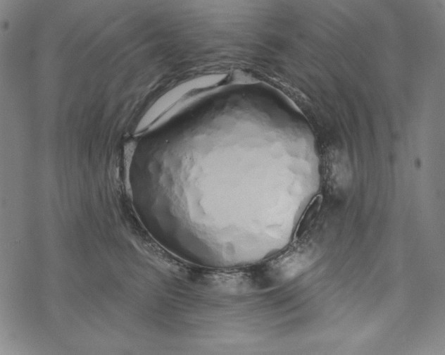 X0000074280615200609151853