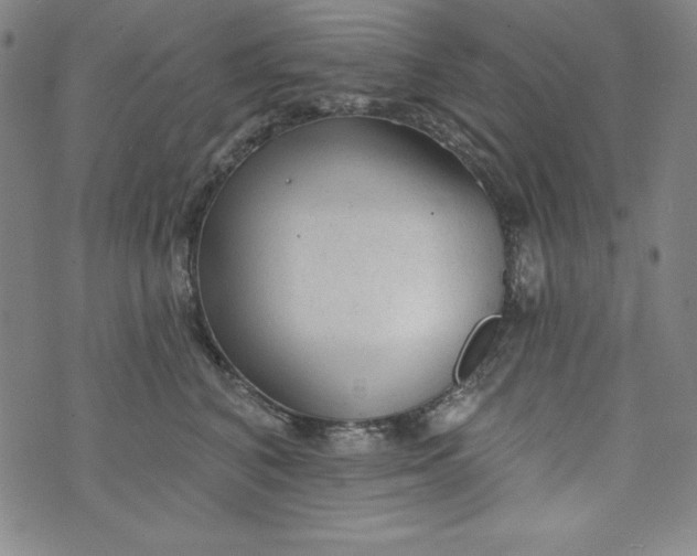 X0000074280616200609151853