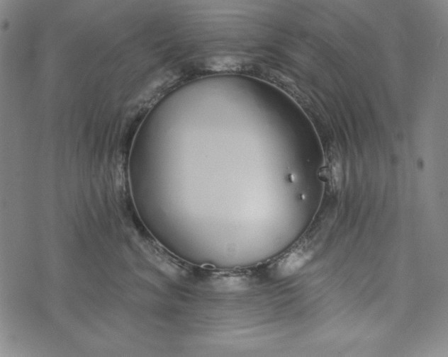 X0000074280620200609151853