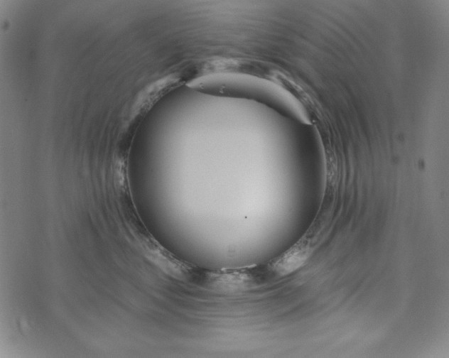 X0000074280621200609151853