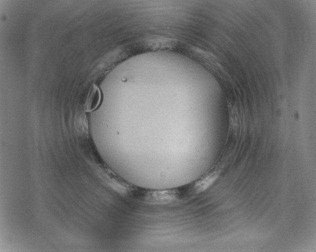 X0000074280622200609151853