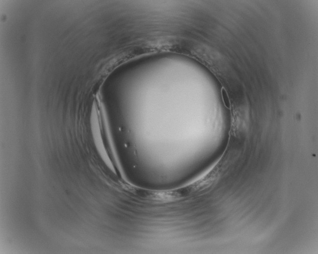 X0000074280623200609151853