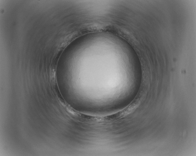 X0000074280624200609151853