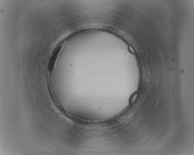 X0000074280625200609151852