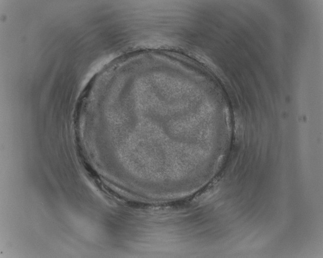 X0000074280626200609151852