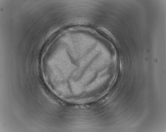 X0000074280627200609151852