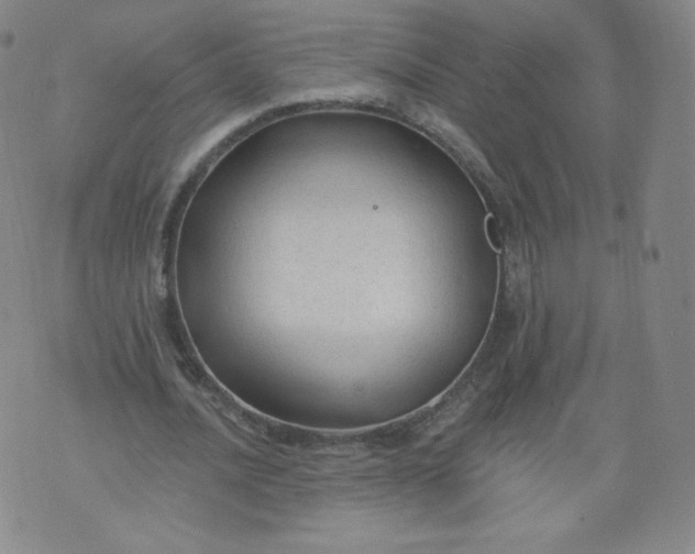 X0000074280628200609151852