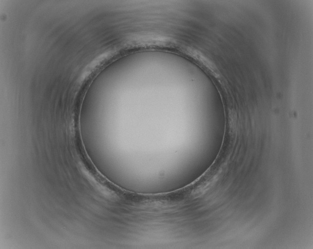 X0000074280629200609151853