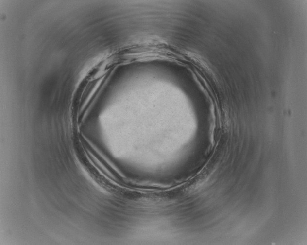 X0000074280630200609151853