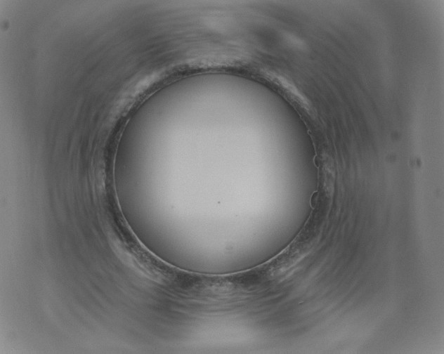 X0000074280631200609151853