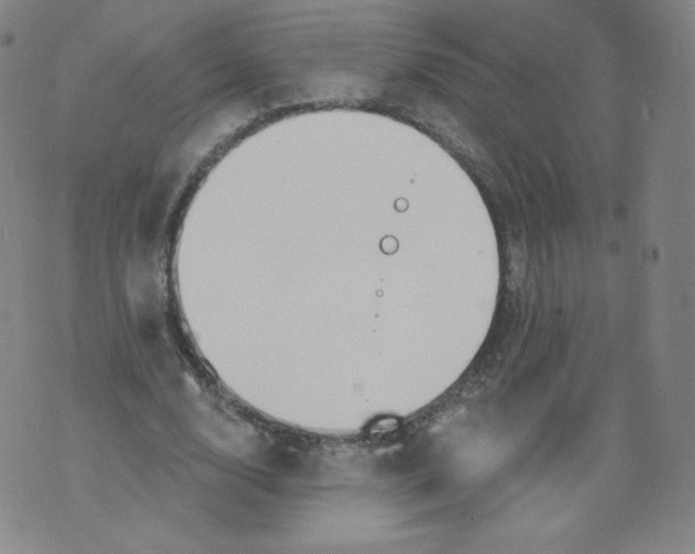 X0000074280632200609151853