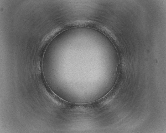 X0000074280633200609151853