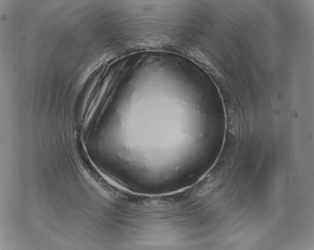 X0000074280634200609151853