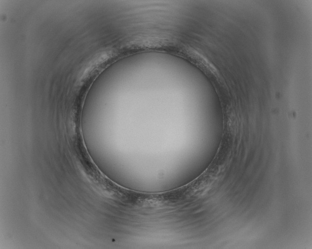 X0000074280635200609151853