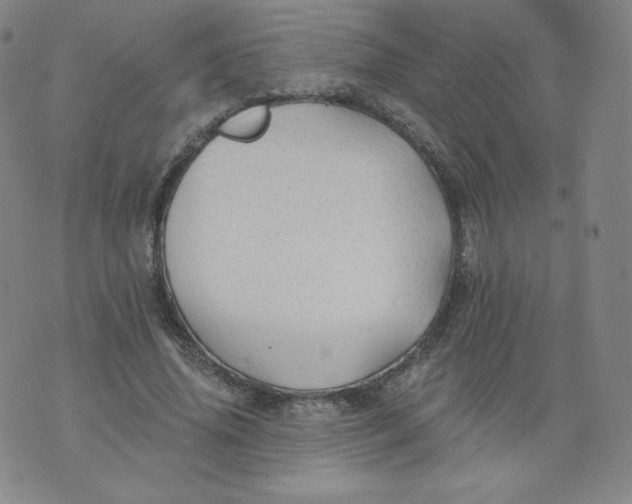 X0000074280636200609151853