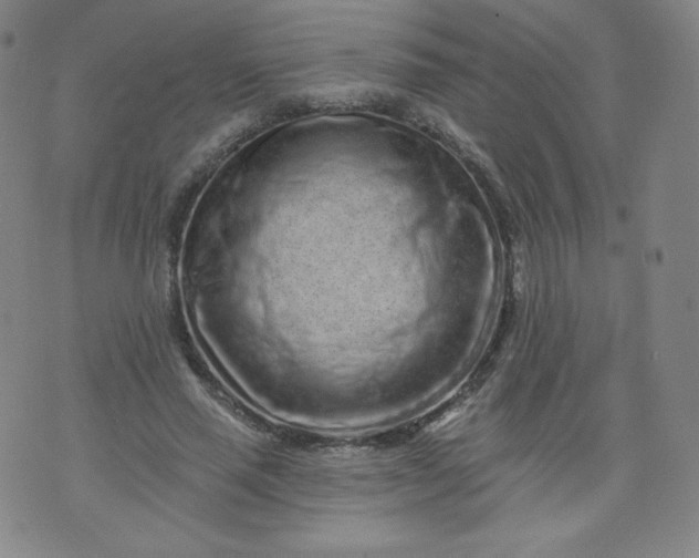 X0000074280637200609151853