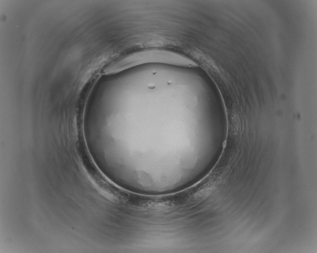 X0000074280638200609151853