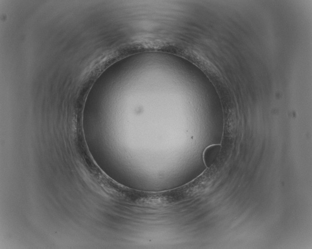 X0000074280639200609151853