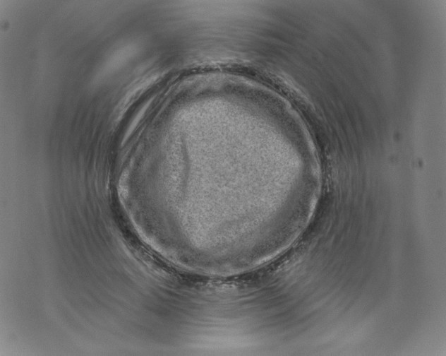 X0000074280640200609151853