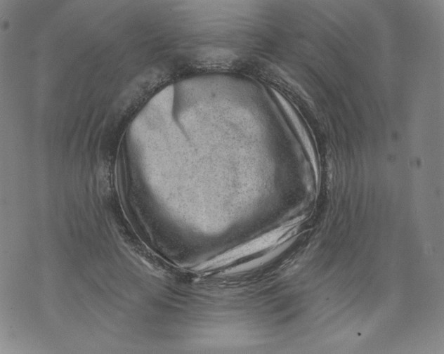 X0000074280641200609151853