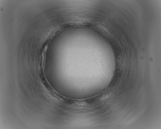 X0000074280642200609151853