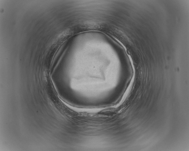 X0000074280643200609151853