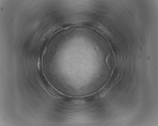 X0000074280644200609151853