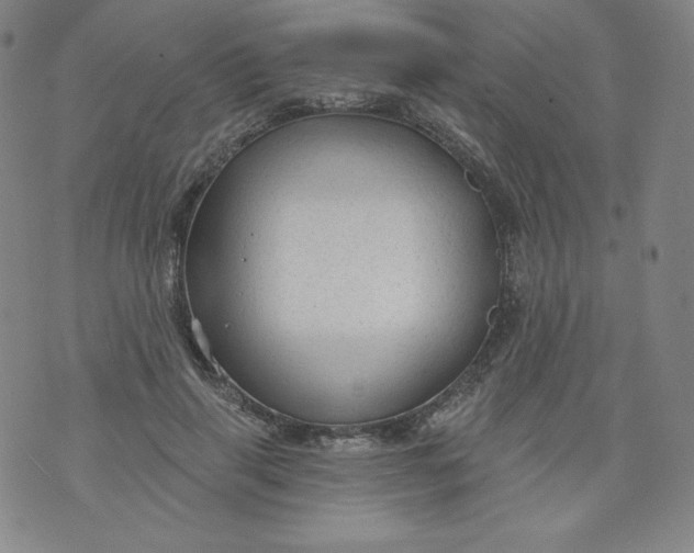 X0000074280645200609151853