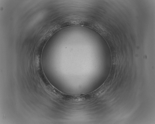 X0000074280646200609151853