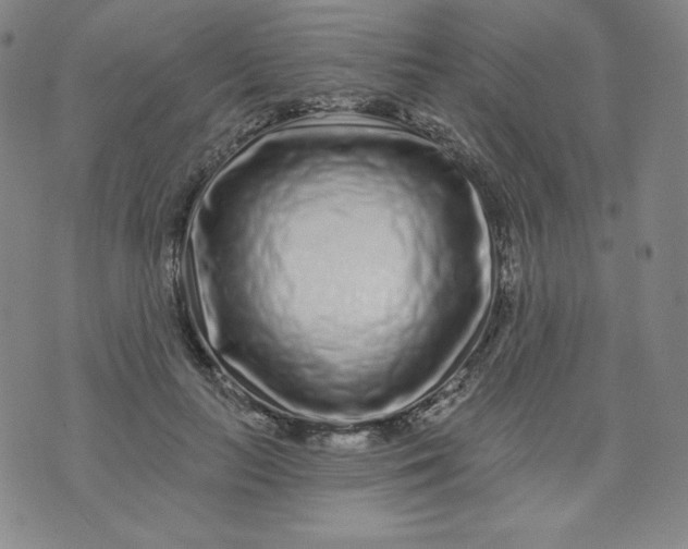 X0000074280647200609151853